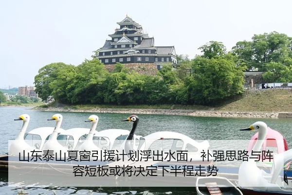 山东泰山夏窗引援计划浮出水面，补强思路与阵容短板或将决定下半程走势